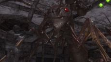 ���������꡼ No.097�Υ���ͥ������ / ���ϵ��ɱҷ�6�׵��祢��ɥ����ɡȥ��奯���ץ��ɤ�����緿���������о졣�ϵ���絤��ʬ���Ѽ����������֡ȥ����ꥢ��ĥ꡼�ɤ�