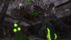 ���������꡼ No.107�Υ���ͥ������ / ���ϵ��ɱҷ�6�׵��祢��ɥ����ɡȥ��奯���ץ��ɤ�����緿���������о졣�ϵ���絤��ʬ���Ѽ����������֡ȥ����ꥢ��ĥ꡼�ɤ�