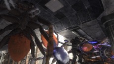 ���������꡼ No.113�Υ���ͥ������ / ���ϵ��ɱҷ�6�׵��祢��ɥ����ɡȥ��奯���ץ��ɤ�����緿���������о졣�ϵ���絤��ʬ���Ѽ����������֡ȥ����ꥢ��ĥ꡼�ɤ�