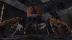 ���������꡼ No.116�Υ���ͥ������ / ���ϵ��ɱҷ�6�׵��祢��ɥ����ɡȥ��奯���ץ��ɤ�����緿���������о졣�ϵ���絤��ʬ���Ѽ����������֡ȥ����ꥢ��ĥ꡼�ɤ�