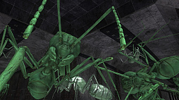 ���������꡼ No.016�Υ���ͥ������ / ���ϵ��ɱҷ�6�ס�������Ρ��ޥ�����󥹥�����ٿ����롼�롤ʪ��ž�����֤ʤɤξ��󤬸���