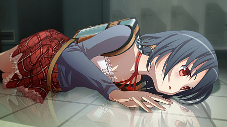 ꡼ No.013 | ѥåǤΡ֥ǥܥϵɱҷפ̩ΥեפʤˡD3P WEB SHOP ŷԾŹɤǥ뤬