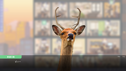 ���������꡼ No.011�Υ���ͥ������ / ��Idol Manager�פΥ�����ܺ٤����������ܤΥ����ɥ�ȳ����ơ��ޤΥ����ɥ��������̳��бĥ���