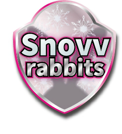 ���������꡼ No.012�Υ���ͥ������ / ��Pokémon UNITE�׽�θ������ե饤������Pokémon UNITE Winter Tournament FINAL�ɤ�3��5���˳���