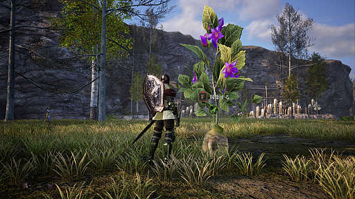 ꡼ No.001 | MMORPGBLESS UNLEASHEDפΥƥĥɡȵʺνʪɤư褬