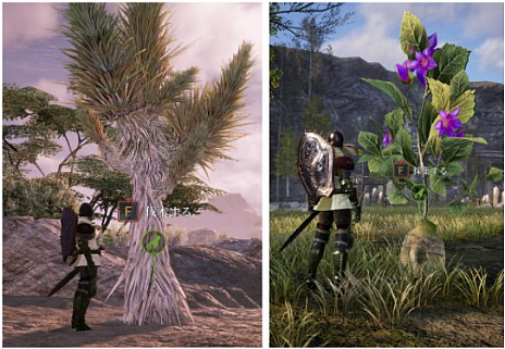 ꡼ No.004 | MMORPGBLESS UNLEASHEDפΥƥĥɡȵʺνʪɤư褬