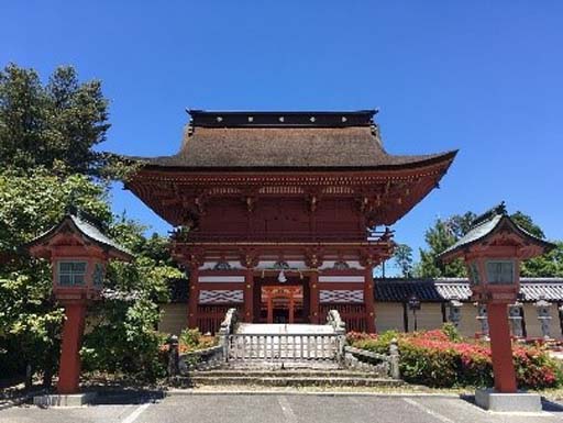 ꡼ No.004Υͥ / ֥ƥƥ饤աסǥ륹ץ꡼ ȥƥƥإᤰ2ơɤ910˥