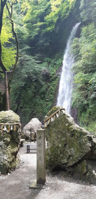 ꡼ No.005Υͥ / ֥ƥƥ饤աסǥ륹ץ꡼ ȥƥƥإᤰ2ơɤ910˥