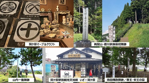 ꡼ No.004 | ֥ƥƥ饤աסǥ륹ץ꡼ȥƥƥإᤰɤ򳫺