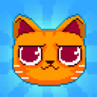 �ѥå�����