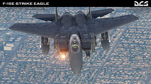 ���������꡼ No.003�Υ���ͥ������ / ��DCS World�פ˺Ƕ����ɡ����ȥ饤���������뤬�Ĥ��˻����DCS: F-15E�פ�ͽ����դ���������åפǥ�������