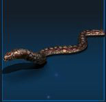 ꡼ No.003Υͥ / ֥ǥMסǽȾʪƥɼޤ緿åץǡȤ»