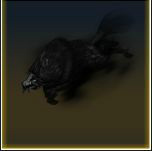 ꡼ No.009Υͥ / ֥ǥMסǽȾʪƥɼޤ緿åץǡȤ»