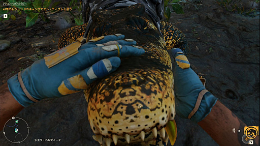 ꡼ No.031 | ֥ե饤6ץץå󡣥ˤåեȤˤ臘ֲǤ⥢פʥץFPS­᤯θ