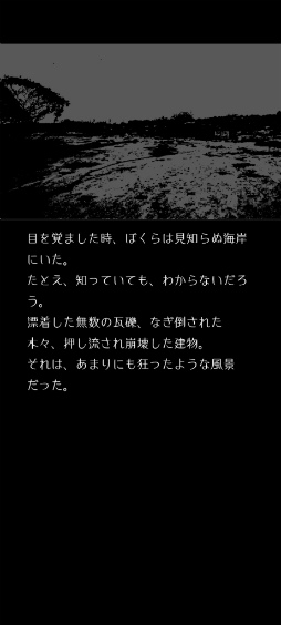 ꡼ No.004 | ơɤ失ޥ۸ɥ٥㡼ֽȥߤȤܤפҲ𤹤֡ʤۤܡޥۥ̿2366