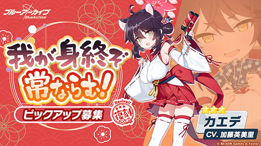 ꡼ No.007 | ֥֥롼֡פΥ٥ȡǦοɤ419ޤﳫ档3֥ۡפԥååפ罸Ʊ˥