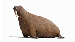 ꡼ No.043 | GDC 2021ϾԻ׵ĤѤΡI Am DeadפˤȥꥢɤϡꥹξʵĮ١ˤäȯԤȸ̣ΤեĮɤ