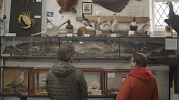 ꡼ No.053 | GDC 2021ϾԻ׵ĤѤΡI Am DeadפˤȥꥢɤϡꥹξʵĮ١ˤäȯԤȸ̣ΤեĮɤ