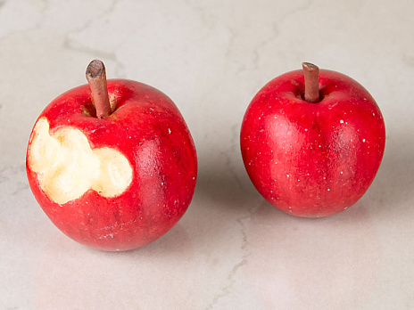 ꡼ No.019 | 饤Υե奢KT model+ɥ֥ɤо졣̿Design COCOǡ2025ǯ5ȯͽ