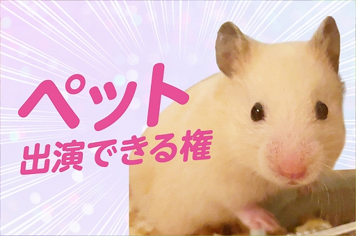 ���������꡼ No.007�Υ���ͥ������ / �֥����ѡ����ĥ���PARTY�ס����饦�ɥե�����ǥ��󥰥ץ��������ȤΥ꥿�����ʤ�ʣ���ɲ�