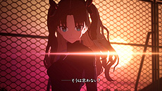 ꡼ No.011 | TYPE-MOON studio BBFate/EXTRA RecordʲΡˡפγȯưȯɽ10ǯо줷Fate/EXTRAΥեᥤ