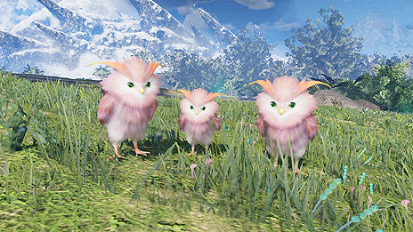 ���������꡼ No.017�Υ���ͥ������ / ���������ӥ����ϤȤʤä���PSO2 �˥塼�����ͥ����ס�5�Ĥδ��ǹ��������ȥ����åȥ������ȥ����ڡ���ɤ��»���