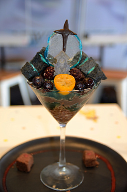 ���������꡼ No.023�Υ���ͥ������ / ��PSO2 �˥塼�����ͥ����ס��������ޥ���NGS �����ʥ��ե��ɻ���ݡ��ȡ��ա��ɤȥǥ����ȡ����˥ܥ�塼�������