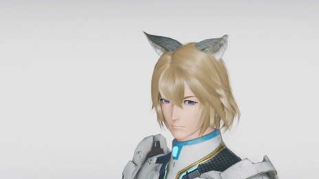 ꡼ No.005 | PSO2 ˥塼ͥץꥹ꡼˿󥯤ɲáSGåо