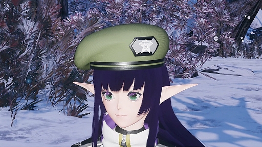 画像ギャラリー No.005のサムネイル画像 / 「PSO2 ニュージェネシス ver.2」,期間限定クエスト「カルデラの掃討戦」本日より開催