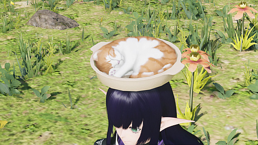 ���������꡼ No.007�Υ���ͥ������ / ���Τ����������դˤ��������⡣��PSO2 �˥塼�����ͥ��� ver.2��AC������å��ȥ˥塼���䡼�����㡼����ۿ�