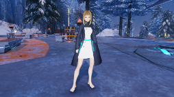 画像ギャラリー No.007のサムネイル画像 / 「NGS ver.2」,1月10日までお正月イベント「ニューイヤー'24」を開催中