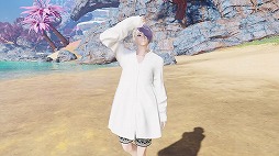 ���������꡼ No.009�Υ���ͥ������ / ��NGS ver.2�ס�Wave���ο����������פΥ������Ȥ��ɲ�