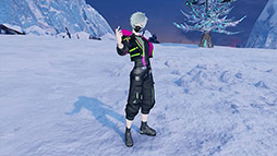 画像ギャラリー No.011のサムネイル画像 / 「NGS ver.2」,最大12名が参加可能な「旧跡の迎撃戦'24」を5月15日まで開催