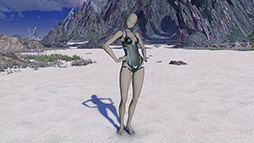 画像ギャラリー No.014のサムネイル画像 / 「NGS ver.2」,最大12名が参加可能な「旧跡の迎撃戦'24」を5月15日まで開催