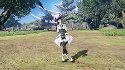 画像ギャラリー No.015のサムネイル画像 / 「NGS ver.2」,最大12名が参加可能な「旧跡の迎撃戦'24」を5月15日まで開催