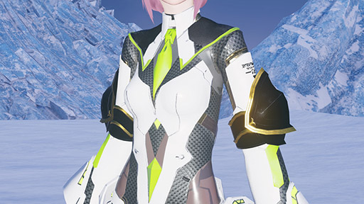 画像ギャラリー No.018のサムネイル画像 / 「NGS ver.2」,最大12名が参加可能な「旧跡の迎撃戦'24」を5月15日まで開催