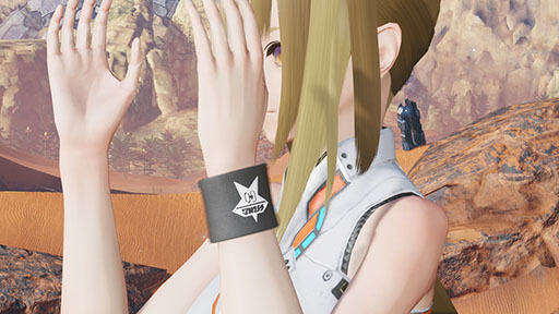 ���������꡼ No.030�Υ���ͥ������ / ��NGS ver.2�ס�PSO2�Υ����ӥ�����12��ǯ��ǰ�����ڡ����Ķ��̴���ספ�7��31���ޤǳ���