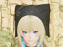 ��NGS ver.2�ס����ˤԤä���ʥե��å���󥢥��ƥब�о�