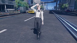 ���������꡼ No.010�Υ���ͥ������ / ��NGS ver.2�ס����ˤԤä���ʥե��å���󥢥��ƥब�о�