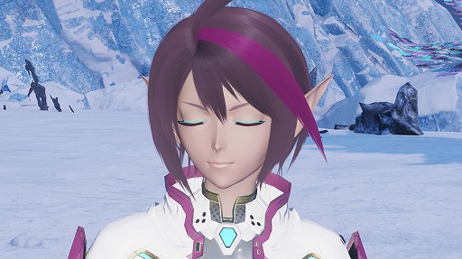 ���������꡼ No.017�Υ���ͥ������ / ��NGS ver.2�ס����ˤԤä���ʥե��å���󥢥��ƥब�о�