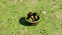 ���������꡼ No.005�Υ���ͥ������ / ��NGS ver.2�ס����ָ��ꥤ�٥�ȡ֥ϥ�������'24�פ�۵ޥ������ȡ֥ۡ���ƥåɥɥᥤ��II�פʤɤ��ۿ�