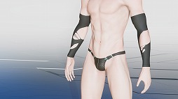 ���������꡼ No.027�Υ���ͥ������ / ��NGS ver.2�ס�2�Τ�Ʊ�����ˤ��ܻؤ��۵ޥ������ȡֶ�Ĵ���������쥹ƤȲ��פʤɤ��ɲ�