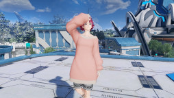 ꡼ No.017 | NGS ver.2סָꥯȡ齬롼ʥϢפɲ