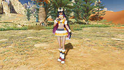 ꡼ No.028 | PSO2 ˥塼ͥ ver.2ס˥å34ǯǰܥ٥Ȥ򳫻