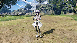 画像ギャラリー No.011のサムネイル画像 / 「NGS ver.2」,期間限定クエスト「氷幻の掃討戦」を追加。最大8人まで参加可能