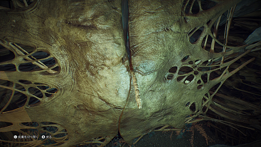 ꡼ No.033Υͥ / The Mediumץץ쥤ݡȡȸƱ˿ʹԤ륵ۥ顼ɥ٥㡼