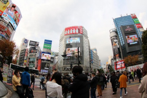 ꡼ No.002 | ֻ̾פǲֿᡦԢ֡ץܤ˹碌Ʋ򳫻