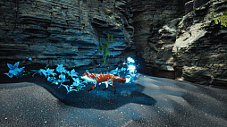 きたのたましい