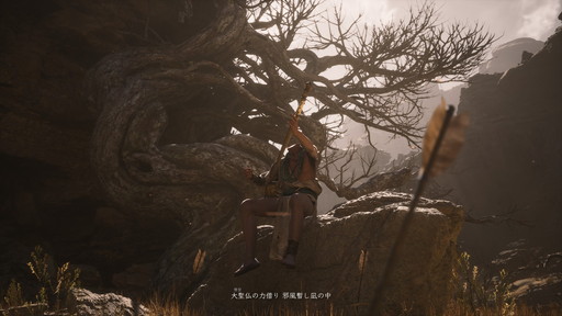 ꡼ No.005Υͥ / Υץ쥤ݡĶͷǡǮθȯֹáפѤ⥰եå­ΰPR