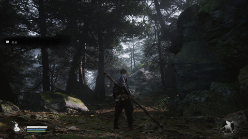 ꡼ No.013Υͥ / Υץ쥤ݡĶͷǡǮθȯֹáפѤ⥰եå­ΰPR